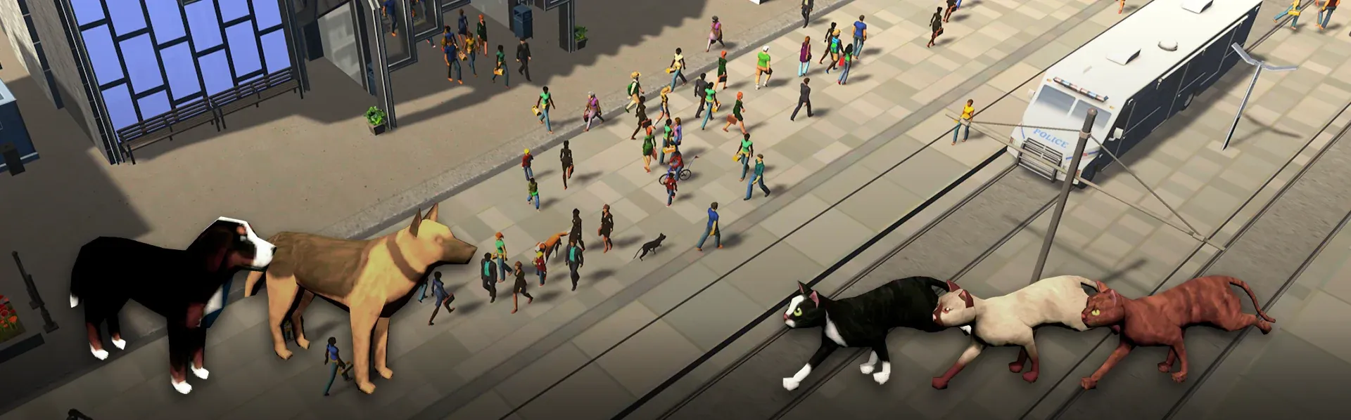 Pets