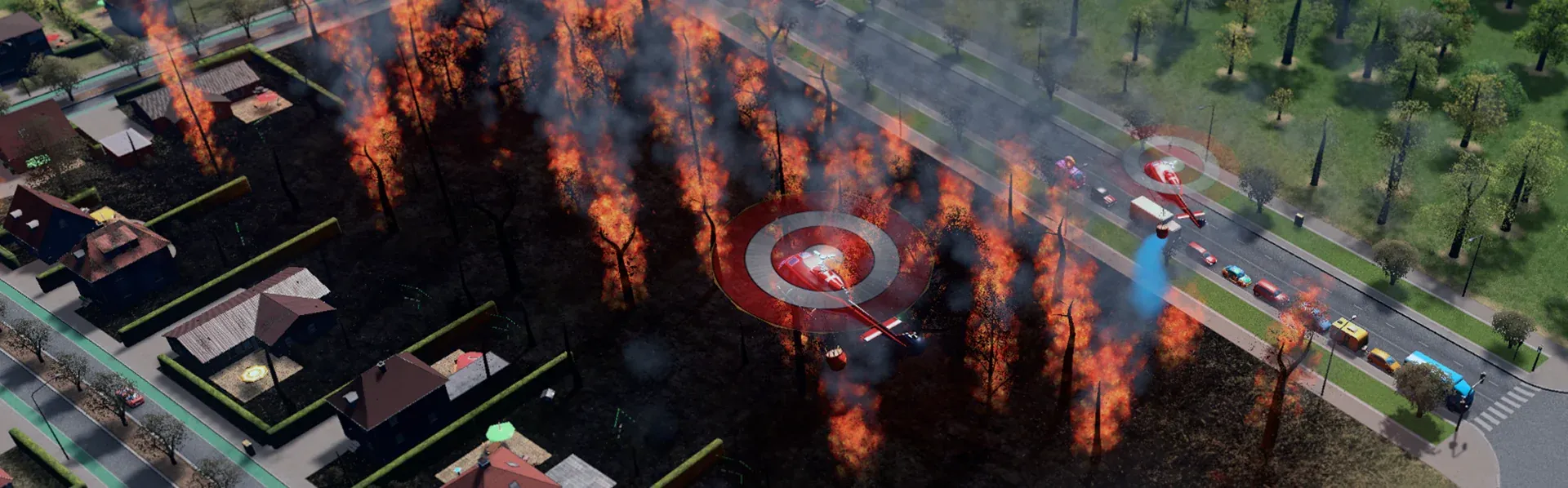 Forest Fires