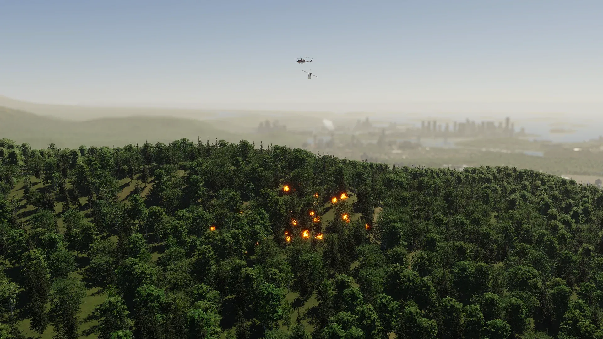 Forest Fire